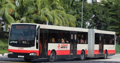 Bus 187 - Mercedes-Benz O405G Volgren (TIB1180P)