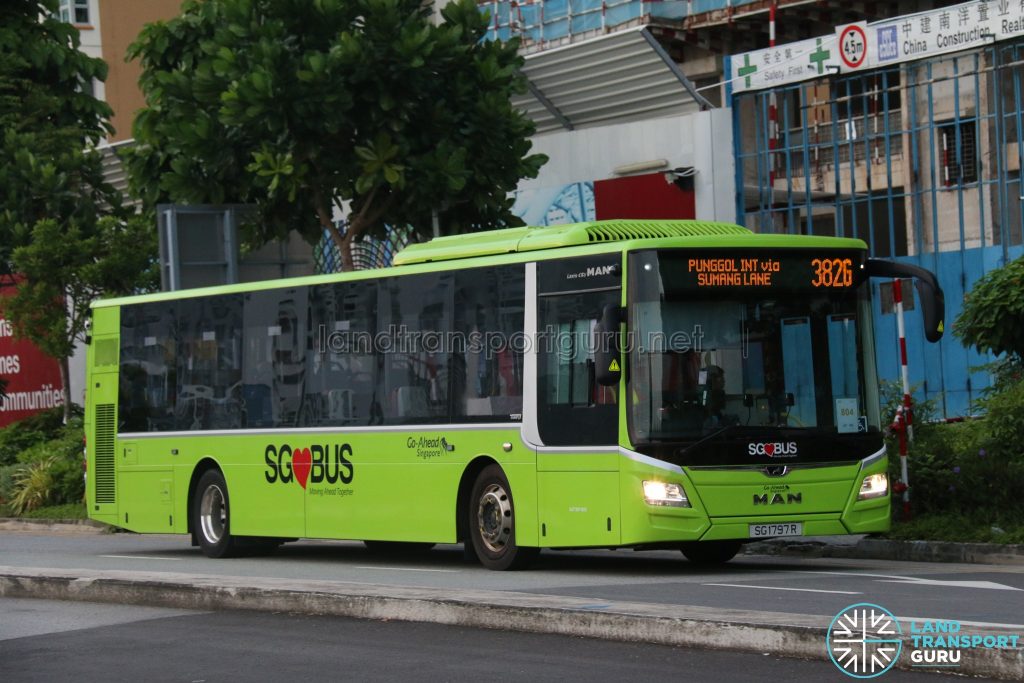 Bus 382G - Go-Ahead MAN Lion's City A22 (SG1797R)