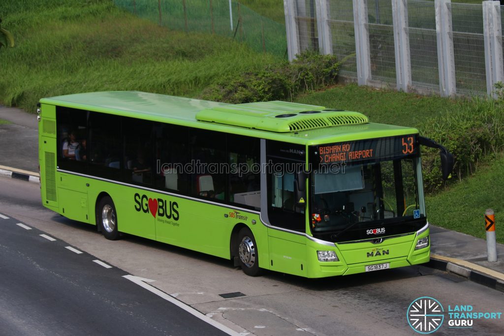 Bus 53 - SBS Transit MAN Lion's City A22 (SG1837J)