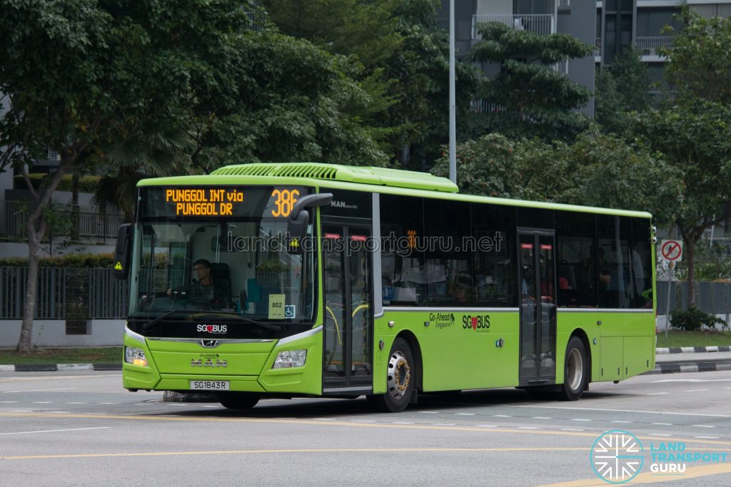 Bus 386: Go-Ahead MAN Lion's City A22 (SG1843R)