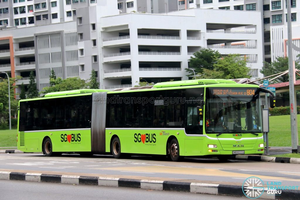 Bus 804 - SBS Transit MAN A24 / Lion's City G (SMB8003A)