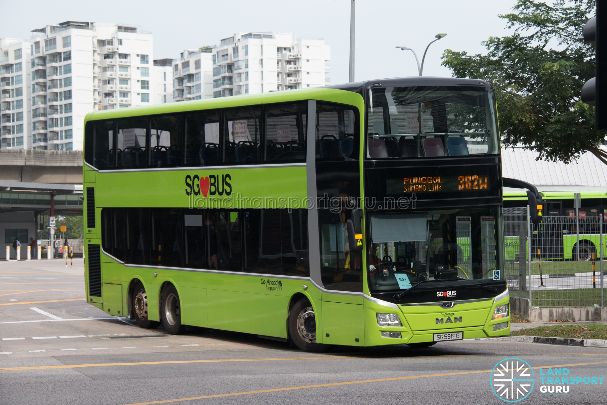 Bus 382W: Go-Ahead MAN Lion's City DD A95 (SG5919E)