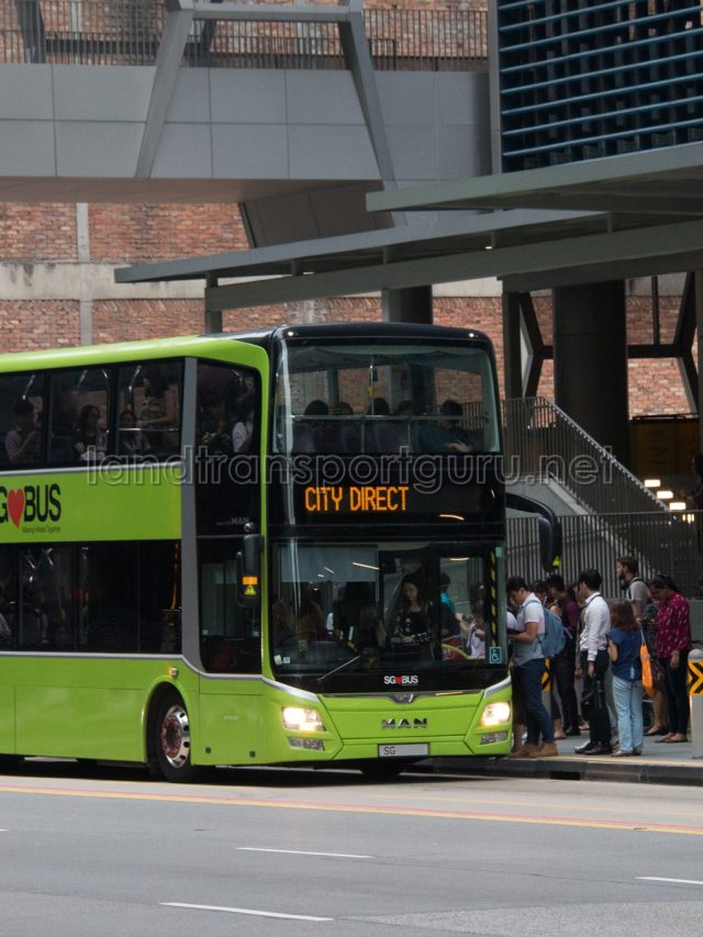 4 New City Direct Bus Services for Northeast areas