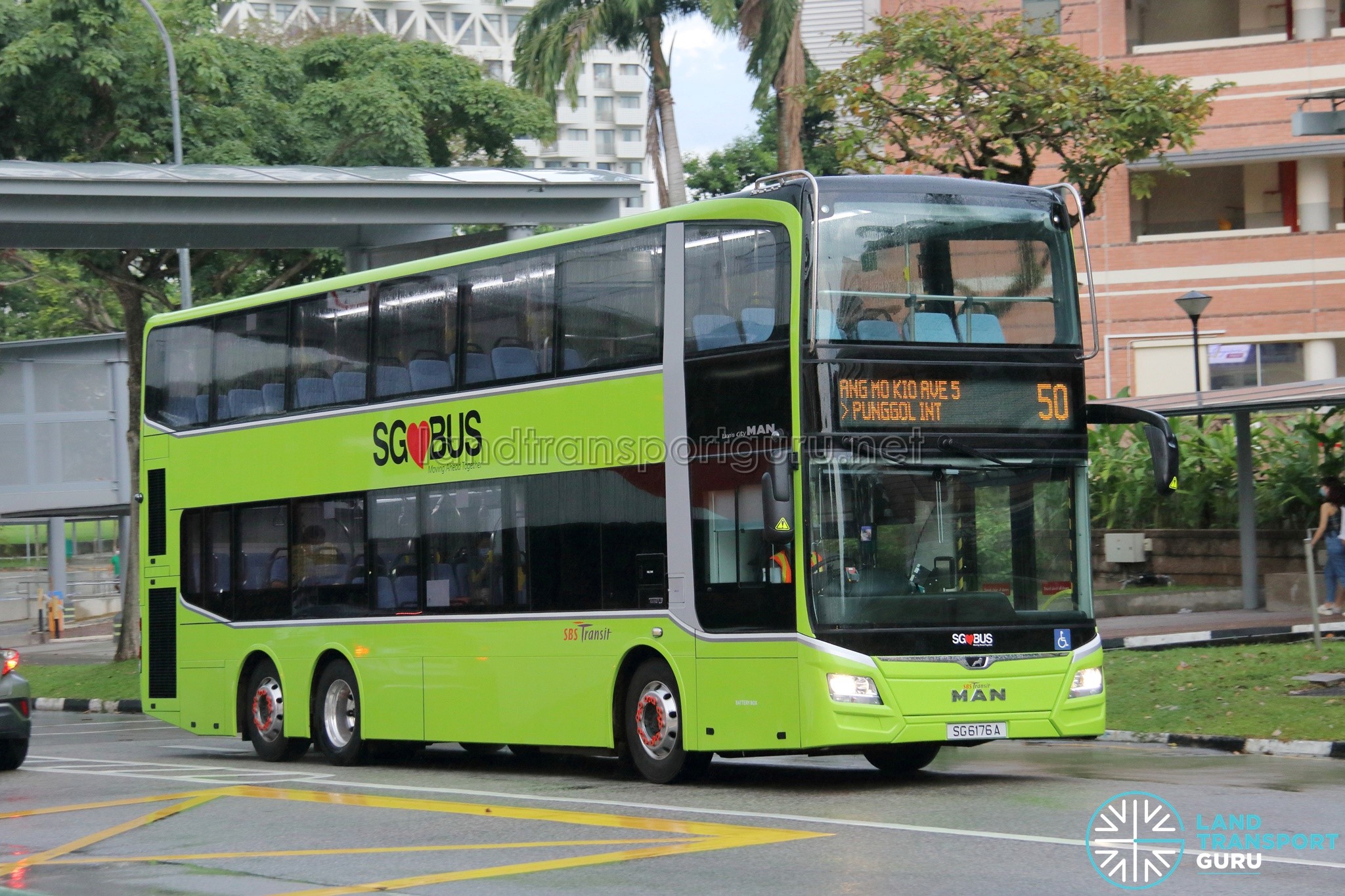 SBS Transit Bus Service 50