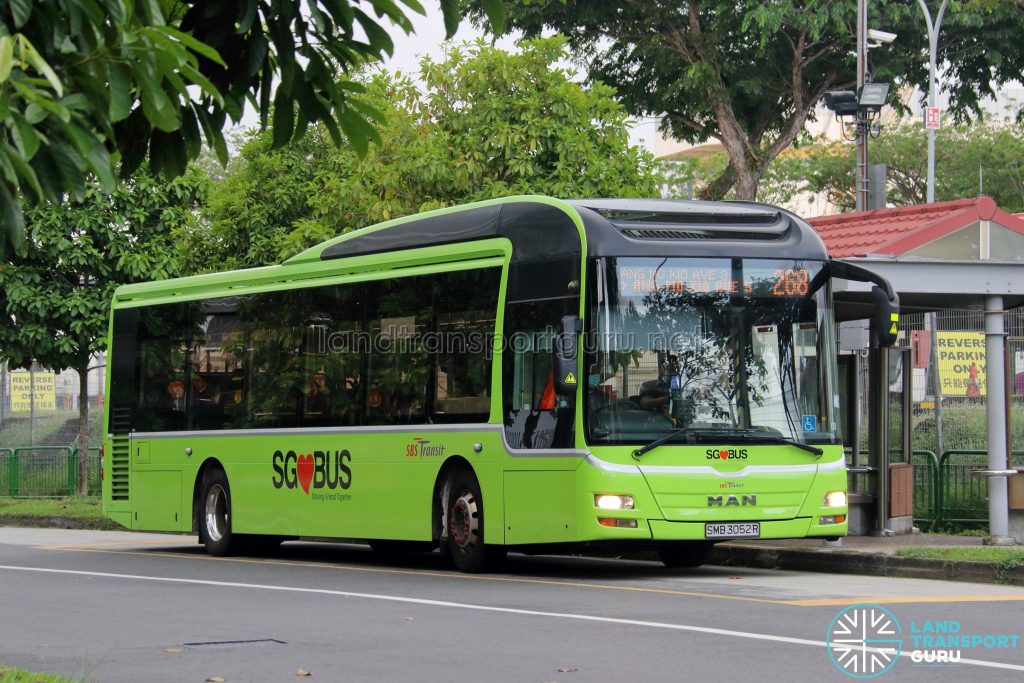 Bus 268: SBS Transit MAN Lion's City A22 (SMB3052R)