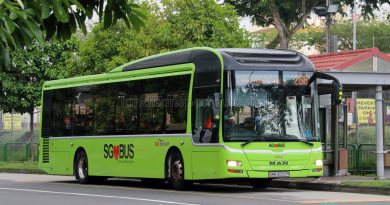 Bus 268: SBS Transit MAN Lion's City A22 (SMB3052R)