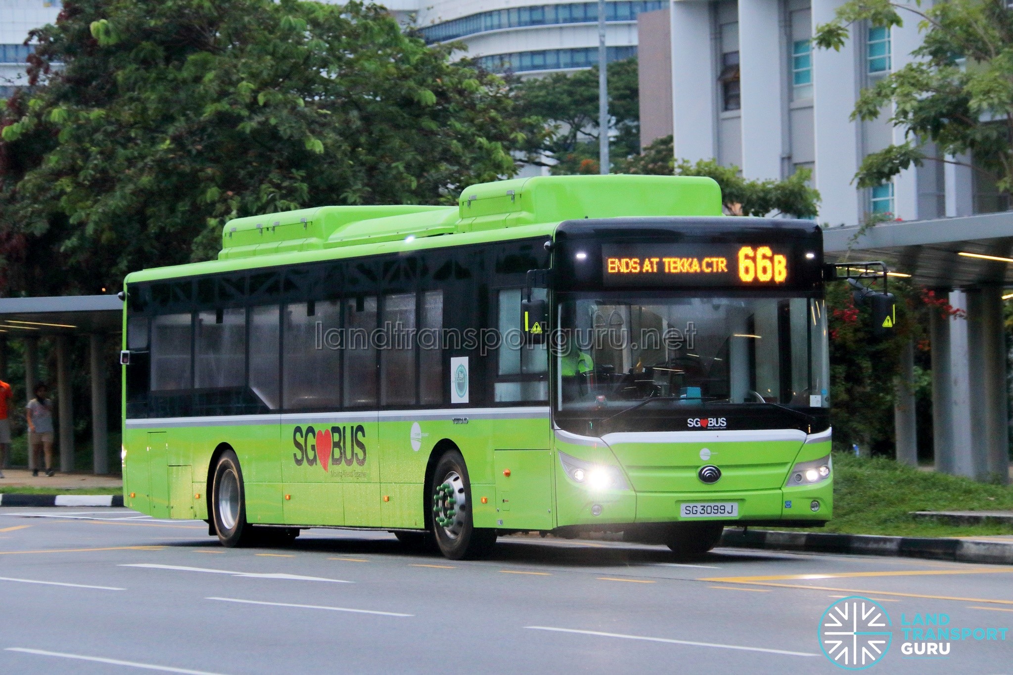 Bus 66B: Tower Transit Yutong E12 (SG3099J)
