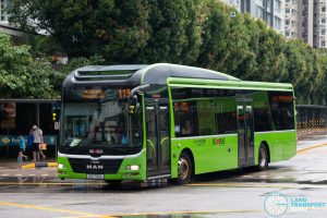 Bus 119: Go-Ahead MAN Lion's City A22 (SG1720L)