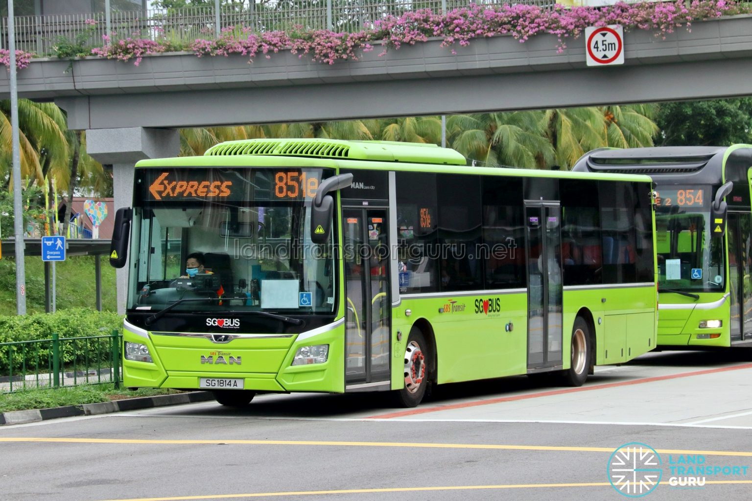 Express 851e: SBS Transit MAN A22 (SG1814A) | Land Transport Guru