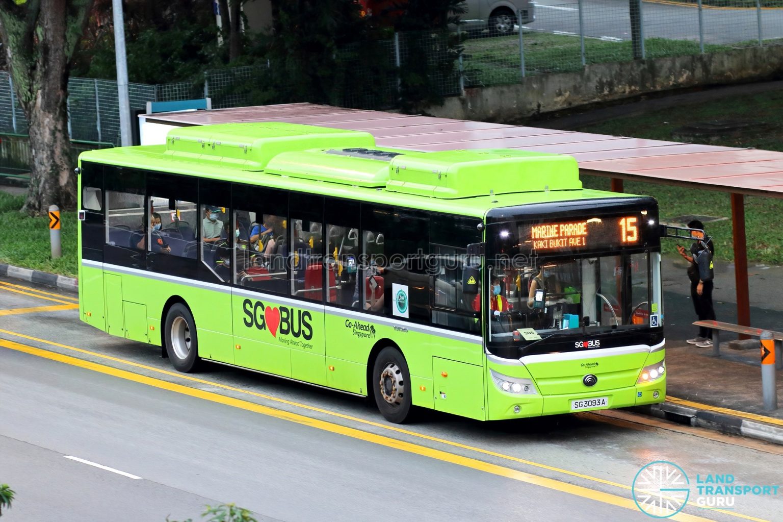 city bus 15 route