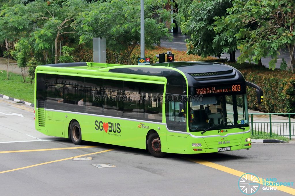 Bus 803: SBS Transit MAN A22 (SMB3132T)