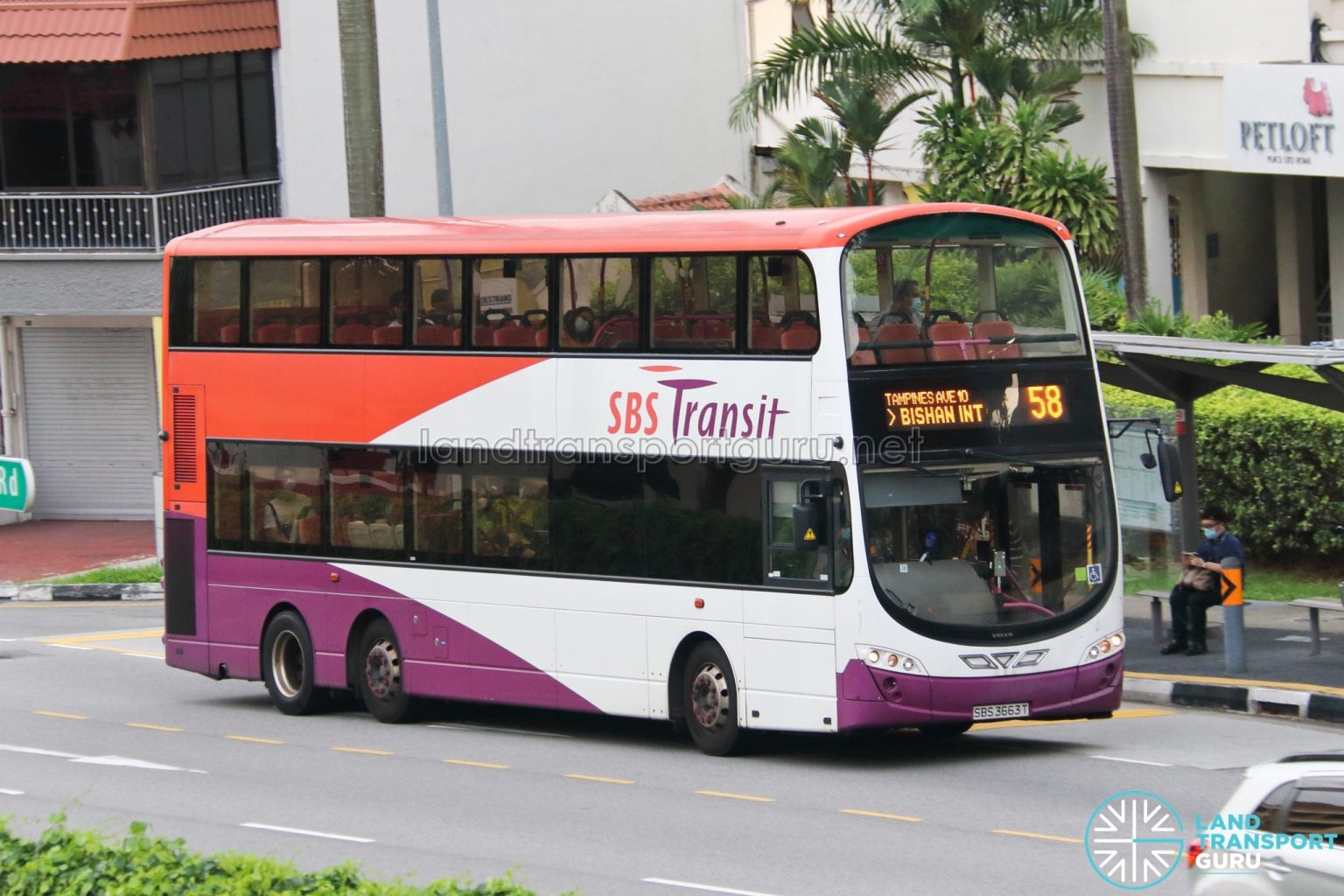 Bus 58: SBS Transit Volvo B9TL Wright (SBS3663T) | Land Transport Guru