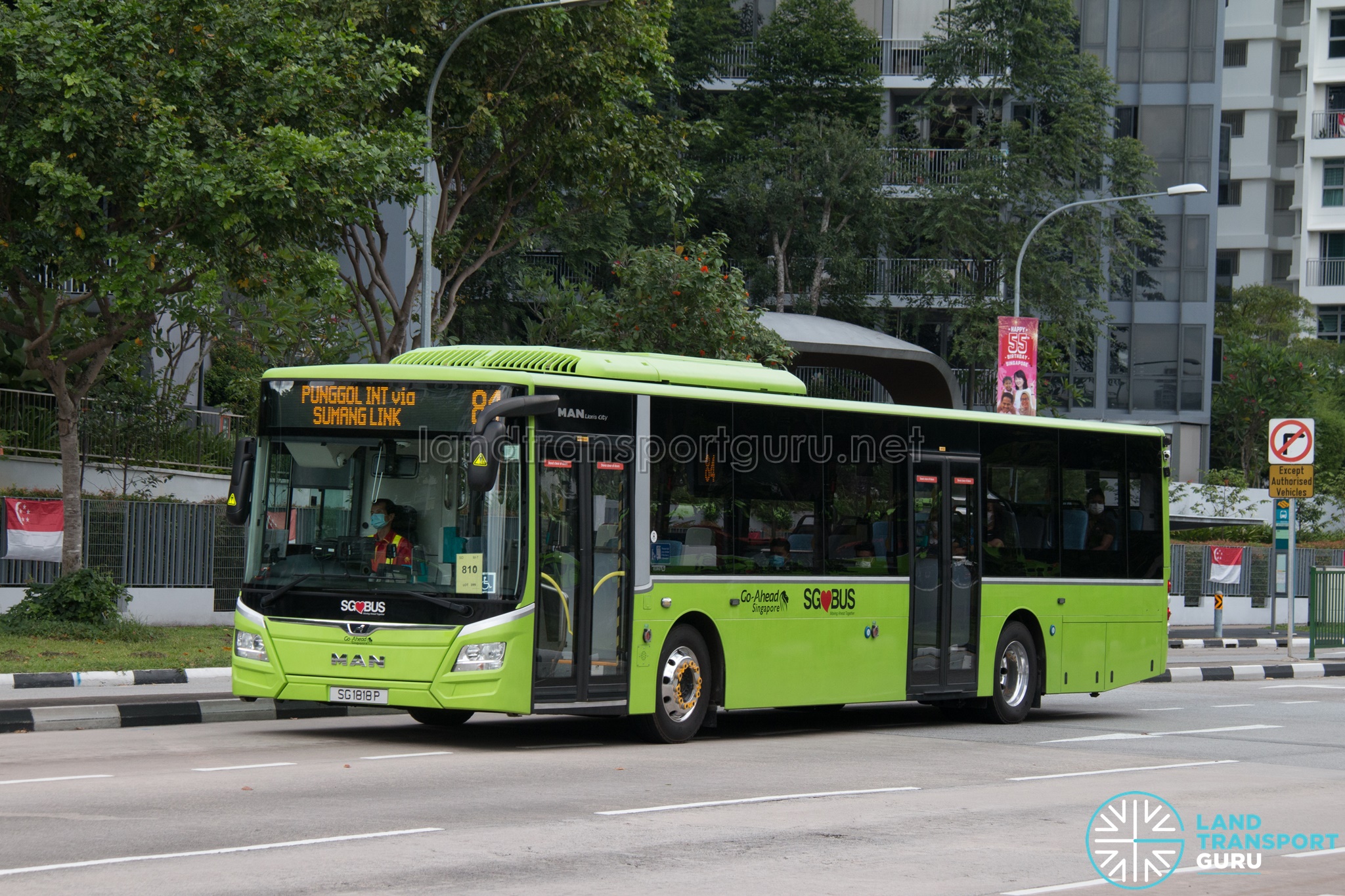 Bus 84: Go-Ahead MAN Lion's City A22 (SG1818P)