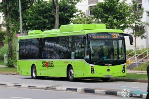 Bus 807: SBS Transit BYD K9 (SG3069X)