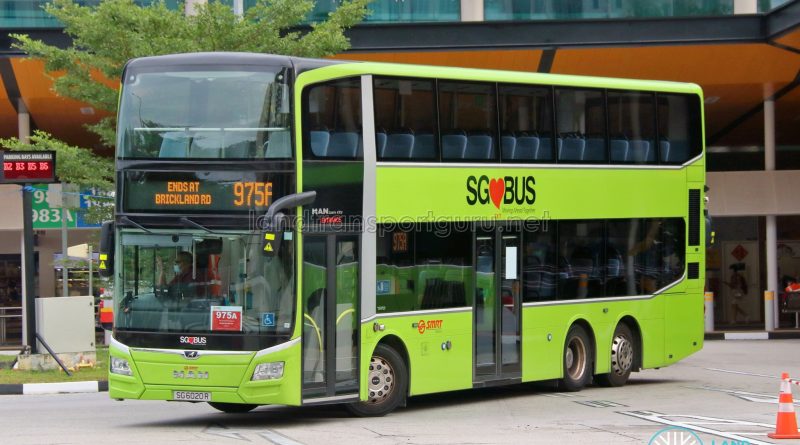 Bus 975A: SMRT MAN Lion's City DD A95 (SG6020R)