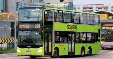 Bus 291T: SBS Transit MAN Lion's City DD A95 (SG6076T)