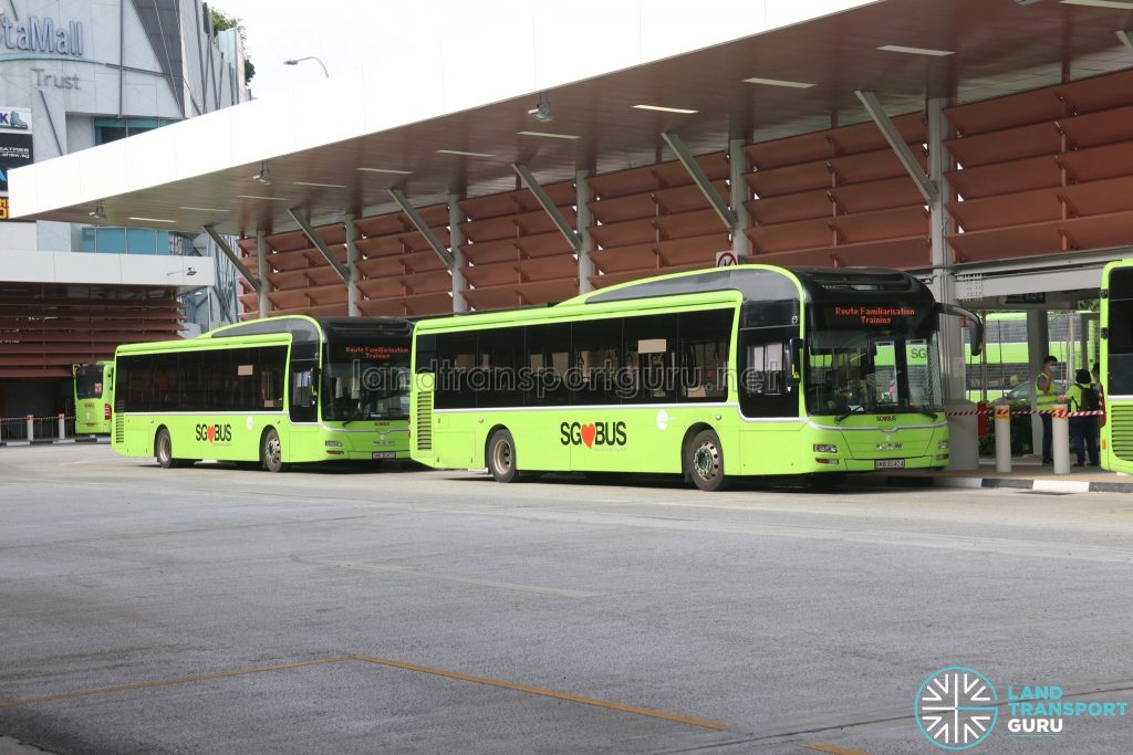 Route Familarisation Training - Tower Transit MAN A22Familiarisation