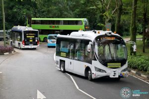 First Commercial Autonomous Bus Services Hit Singapore, 42% OFF