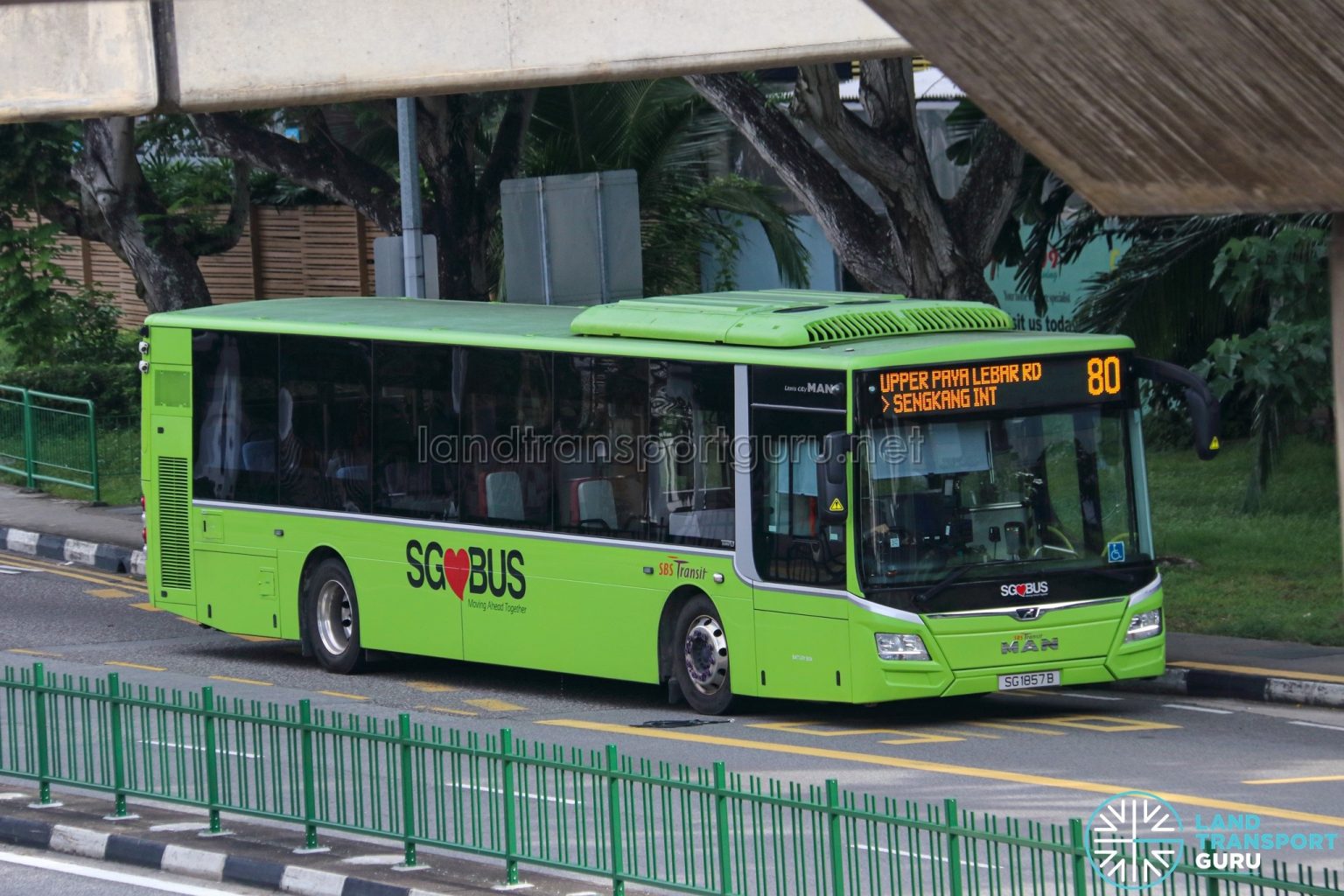 Bus 80 SBS Transit MAN A22 Euro 6 (SG1857B) Land Transport Guru