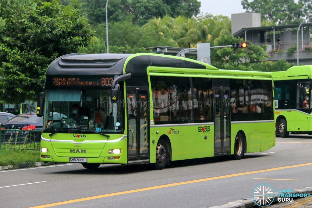 Bus 803 - SBS Transit MAN A22 (SMB3080J)