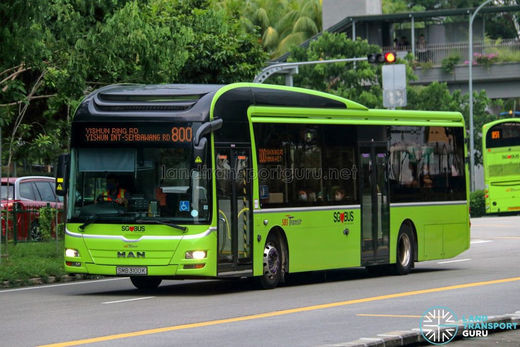 Bus 800 - SBS Transit MAN A22 (SMB3100K)