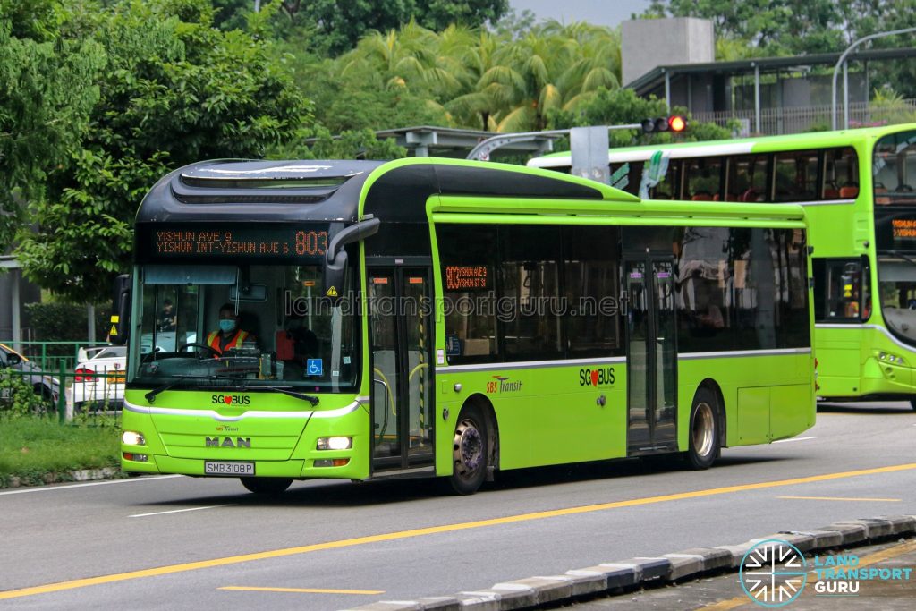 Bus 803 - SBS Transit MAN A22 (SMB3108P)