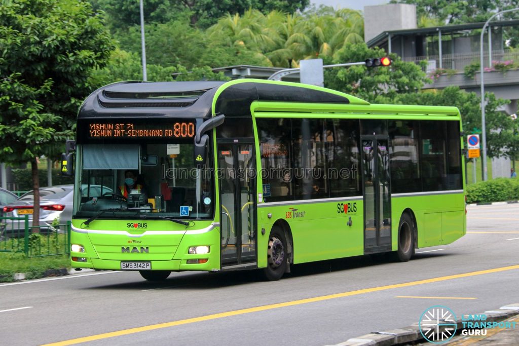 Bus 800 - SBS Transit MAN A22 (SMB3142P)