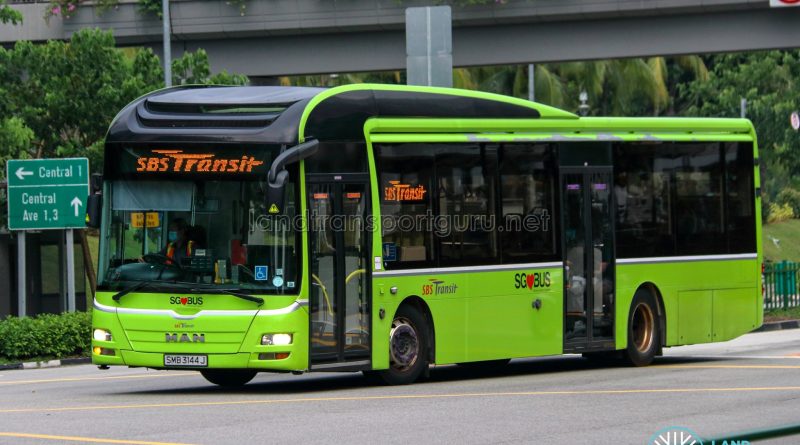 SBS Transit Logo - SBS Transit MAN A22 (SMB3144J)