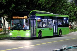 Bus 803 - SBS Transit MAN A22 (SMB3168R)