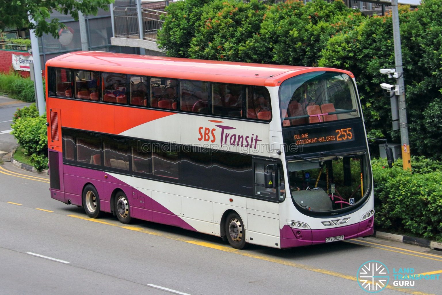 Bus 255 – SBS Transit Volvo B9TL Wright (SBS3629T) | Land Transport Guru