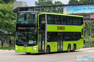 Express 851e - SBS Transit MAN A95 Euro 6 (SG5921Y)