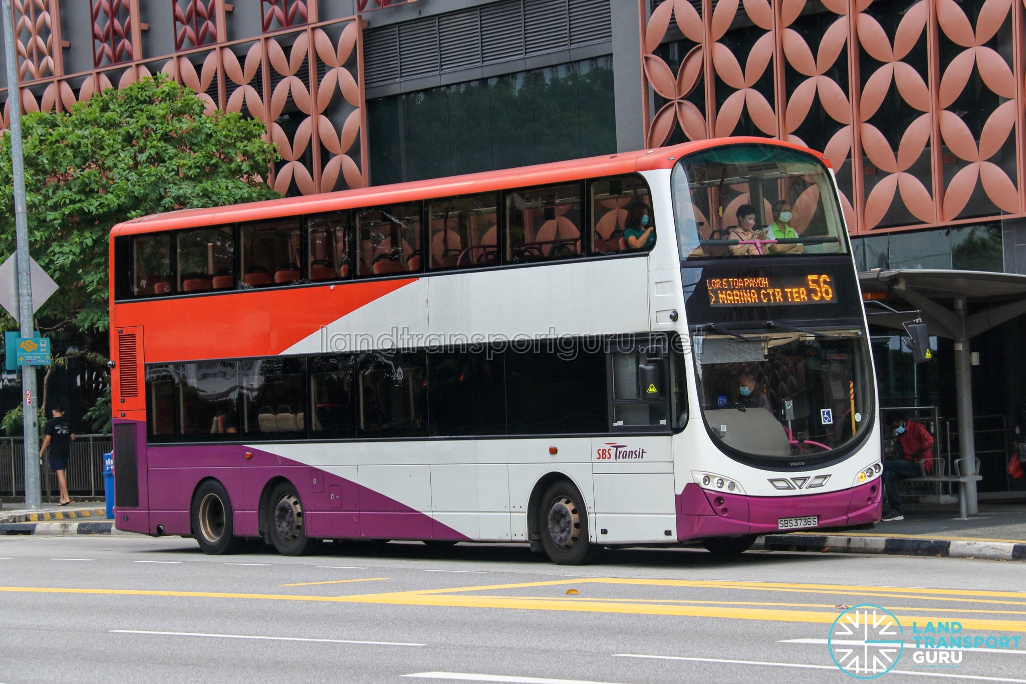 SBS Transit Bus Service 56