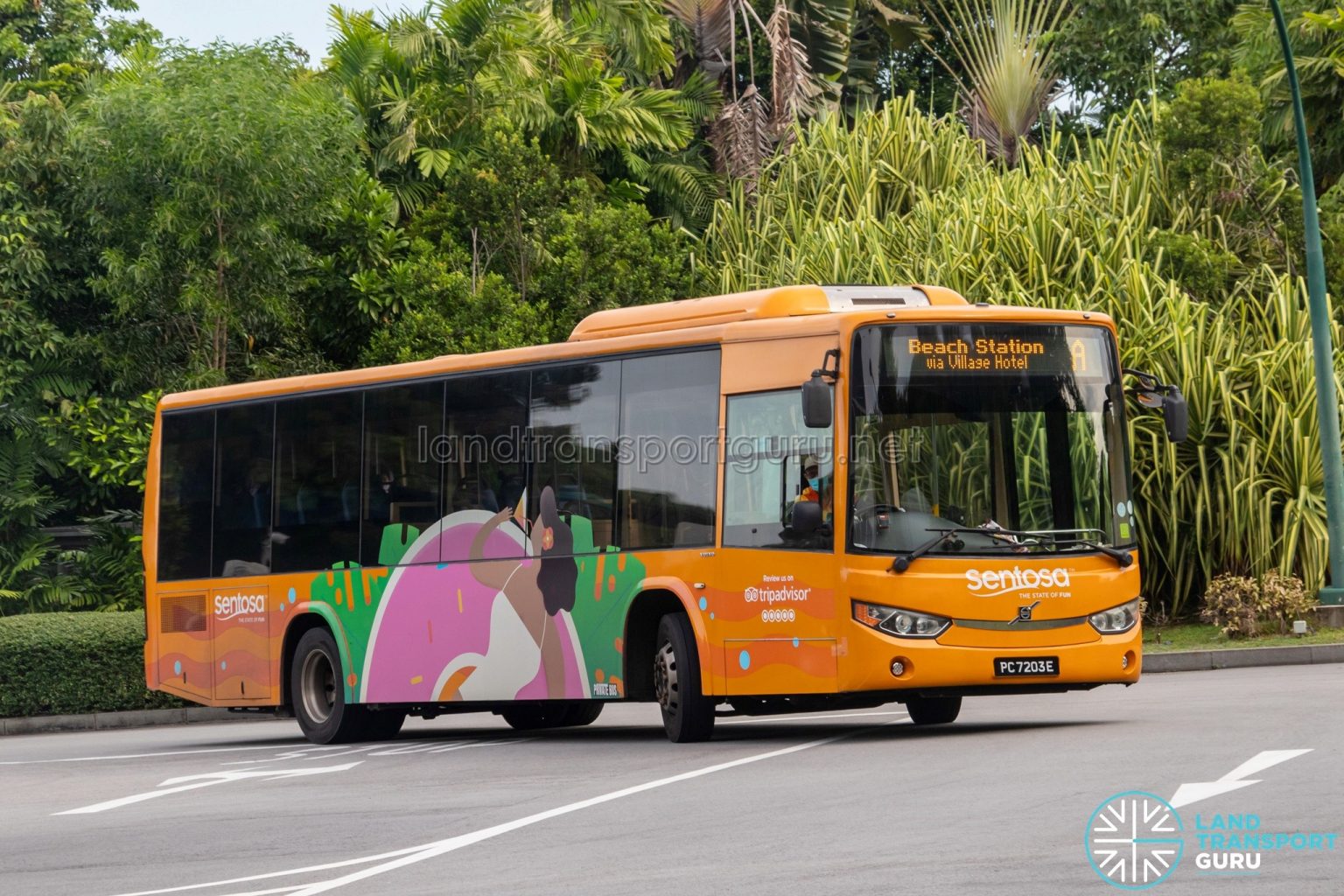 Sentosa Bus A | Land Transport Guru