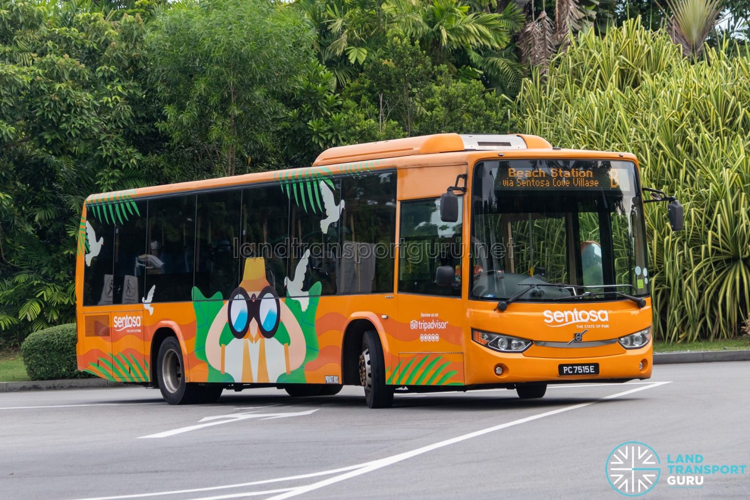 Sentosa Bus B | Land Transport Guru