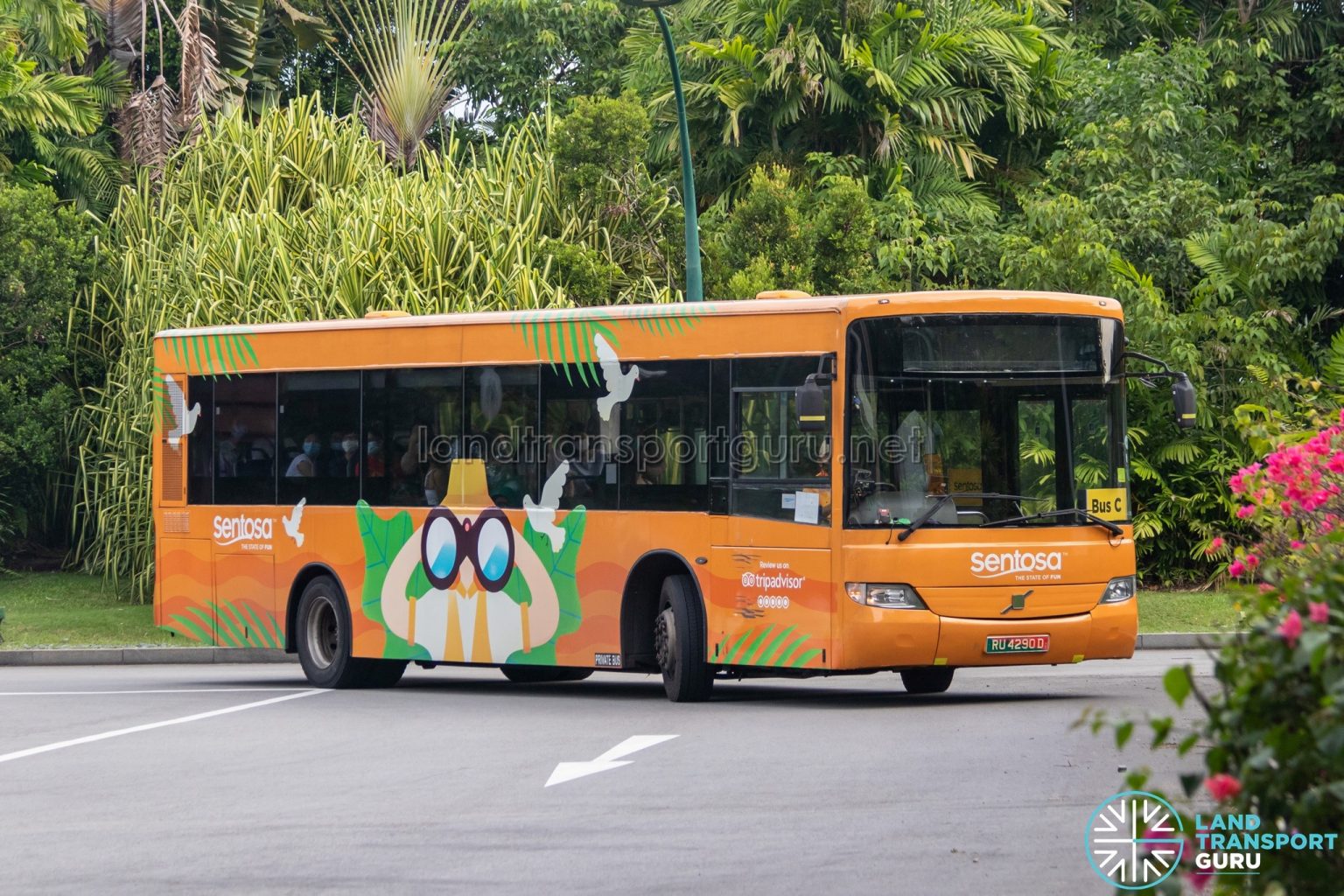 Sentosa Bus C – Sentosa Development Corporation Volvo B7RLE (RU4290D ...