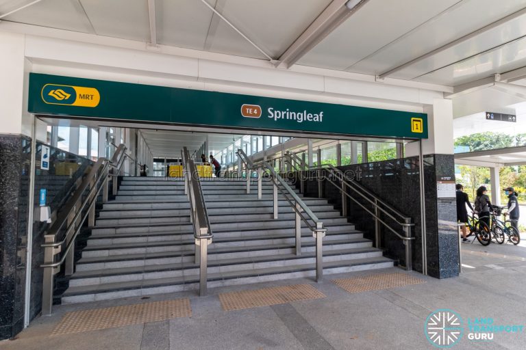 Springleaf MRT Station | Land Transport Guru