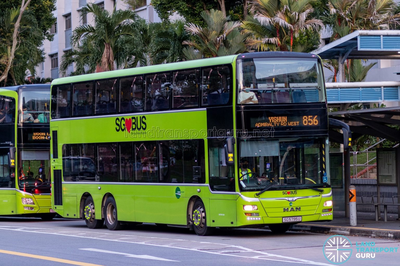 Bus 856 – Tower Transit MAN A95 (SG5795U) | Land Transport Guru