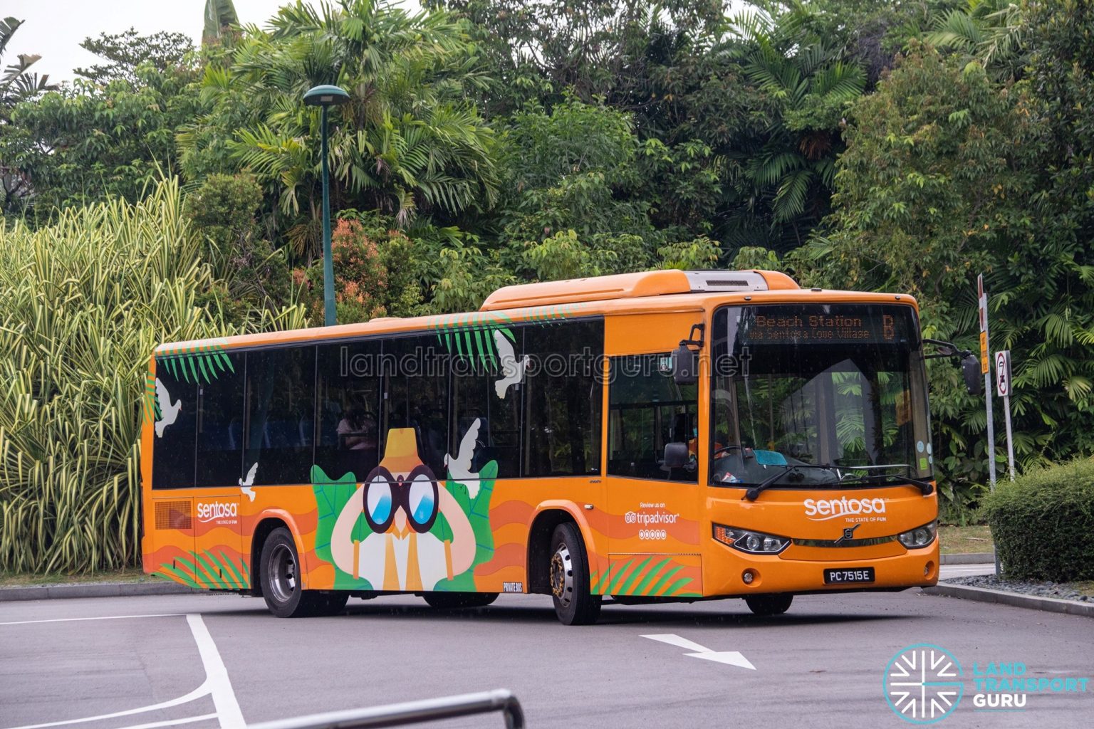 Sentosa Bus B | Land Transport Guru