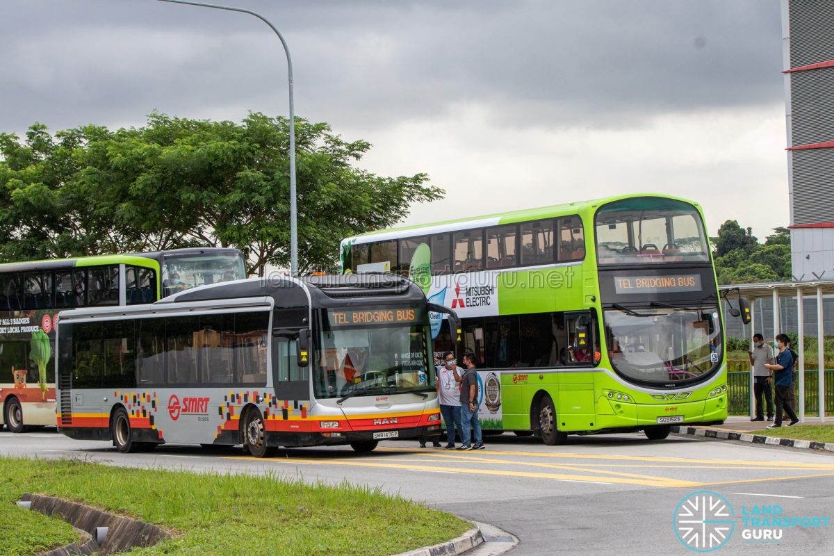 TEL Bridging Bus at Woodlands North | Land Transport Guru