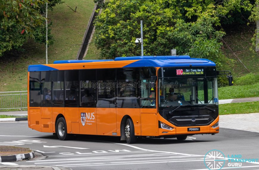 Zhongtong LCK6126EVG (N12) – Private Bus