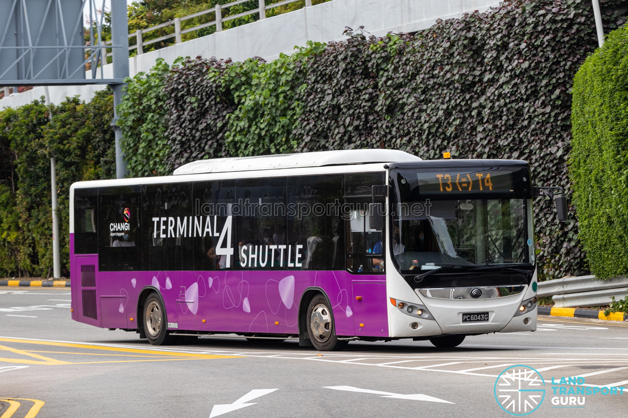 Changi Airport Terminal 4 Shuttle Bus • Free Bus Transfer Between Terminals  4, 3, 2, 1 & JEWEL • RailTravel Station