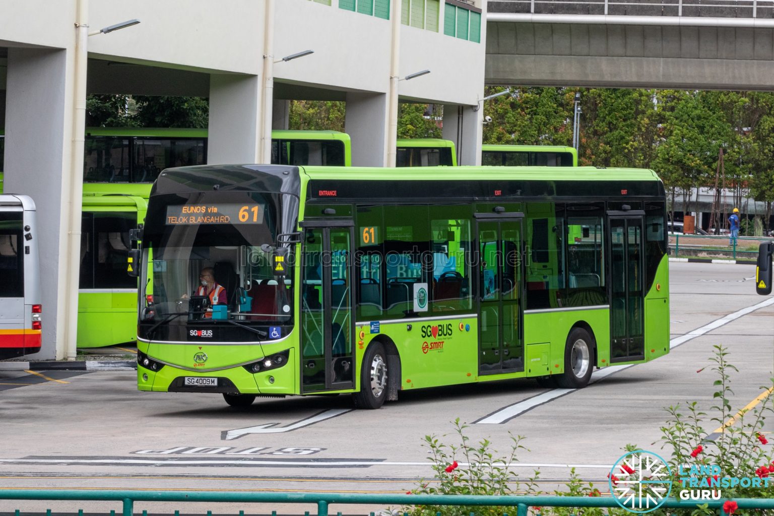 Bus 61 – SMRT Buses Ankai G9 (SG4009M) | Land Transport Guru