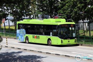 Bus 162 - SBS Transit BYD K9 (Gemilang) (SG3056H)