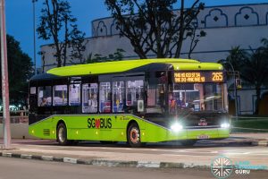Bus 265 - SBS Transit BYD B12A03 (SG4013A)