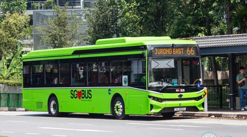 Bus 66 - Tower Transit BYD BC12A04 (SG3199D)