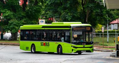 Bus 113A - SBS Transit BYD BC12A04 (SG3170K)