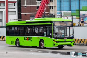 Bus 113 - SBS Transit BYD BC12A04 (SG3186R)