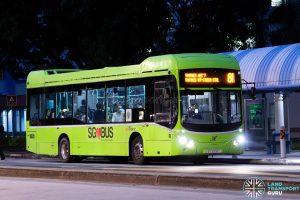 Bus 81 - SBS Transit Volvo B5LH (SG3008Y)