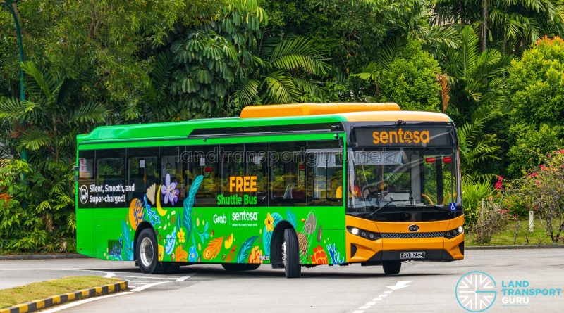 Sentosa Bus - Tower Transit BYD BC12A04 (PD3123Z)