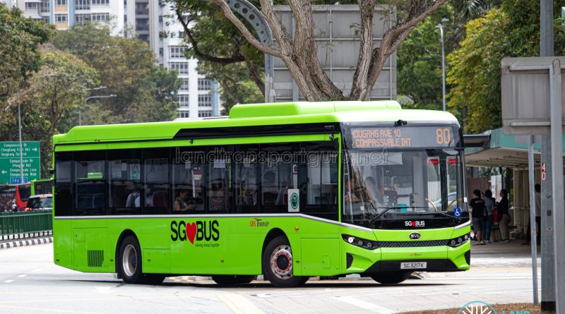 Bus 80 - SBS Transit BYD BC12A04 (SG3217K)